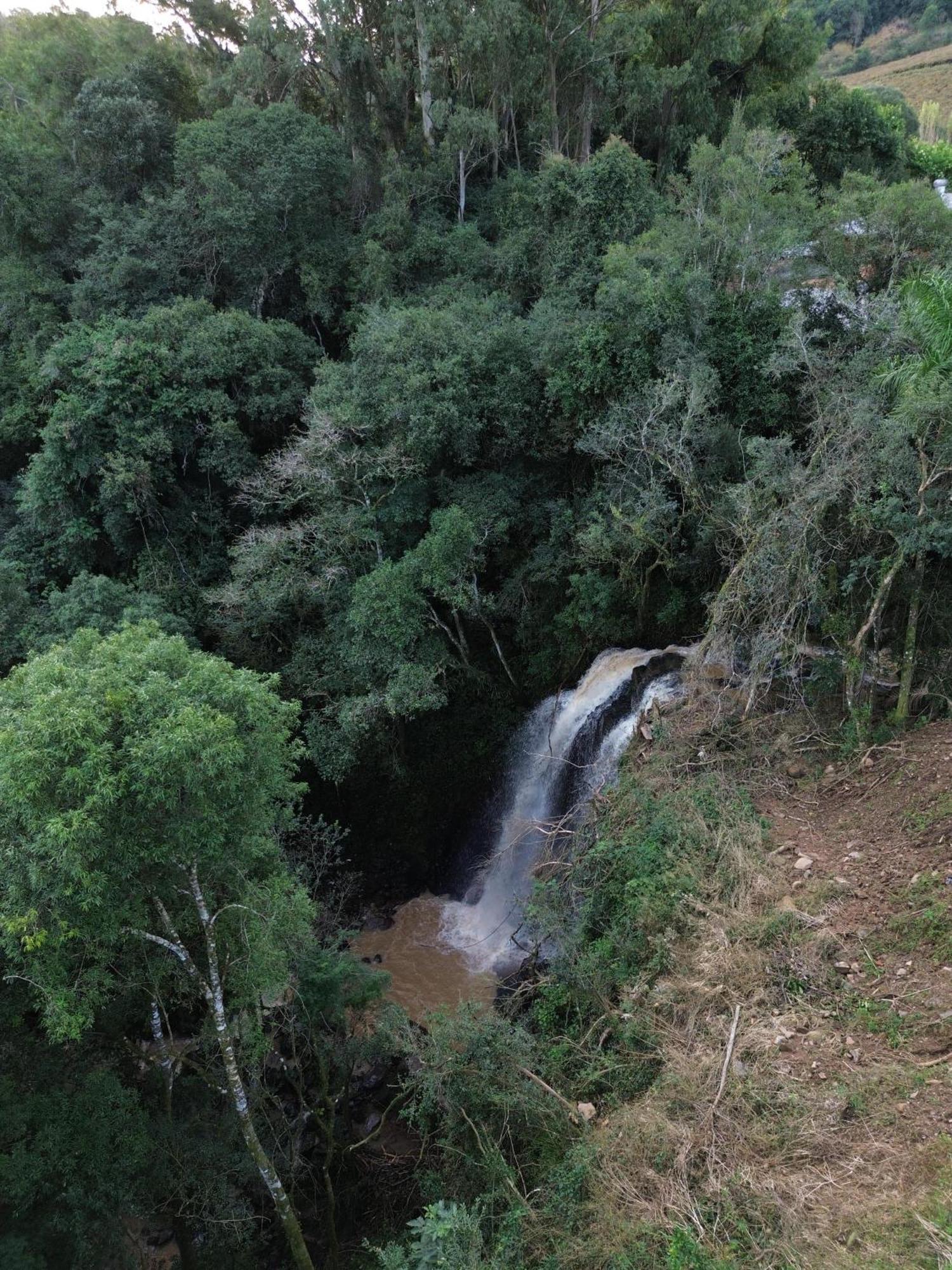 Chale Seiva Da Terra Villa Pinto Bandeira Værelse billede